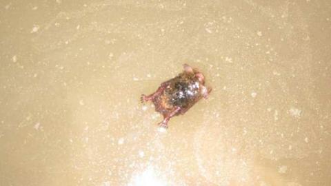 Creepy Cave Winter 2016 - Queenston-Quarry-Mine-Entry45.jpg