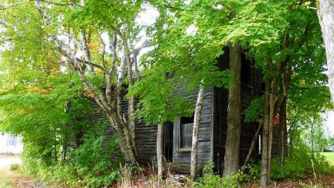 September '16 - Flinton66.jpg