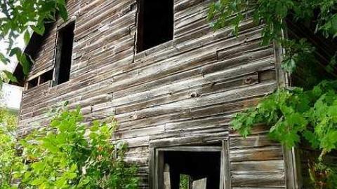 Photo from September '16