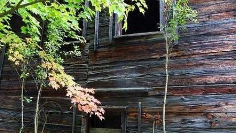 September '16 - Flinton65.jpg