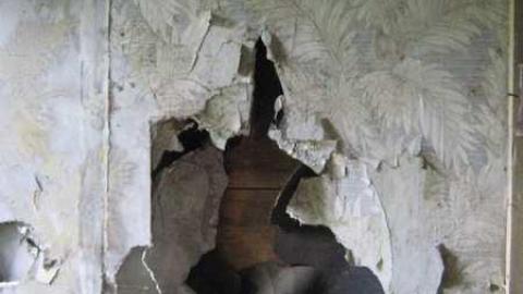 Arden Summer 2011 - Arden13.jpg