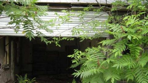 Arden Summer 2011 - Arden14.jpg