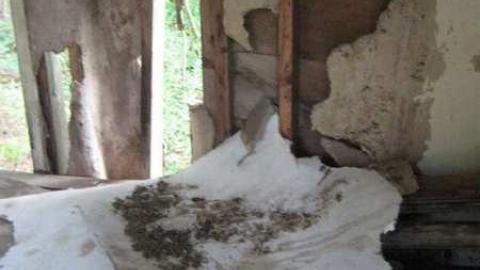 Arden Summer 2011 - Arden25.jpg