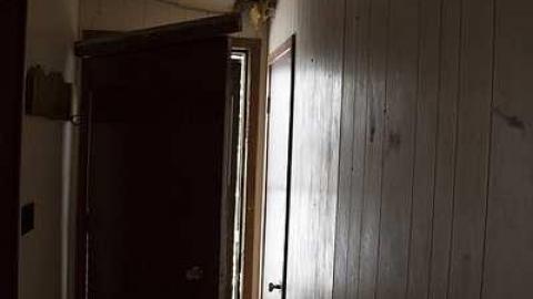 Benson House - Grassy-and-Gassy41.jpg