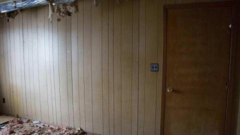 Benson House - Grassy-and-Gassy38.jpg