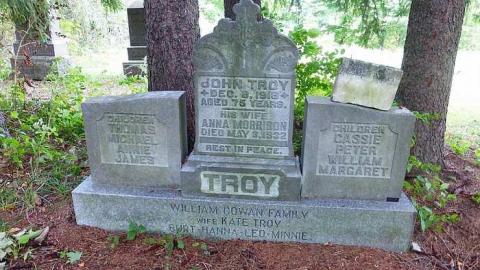 Photo from Summer Orchid