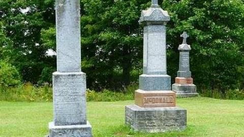 Summer Orchid - Orchidville-Pioneer-Cemetery16.jpg