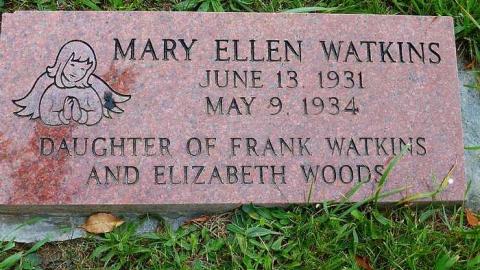 Summer Orchid - Orchidville-Pioneer-Cemetery10.jpg