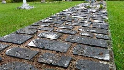 Photo from Summer Orchid