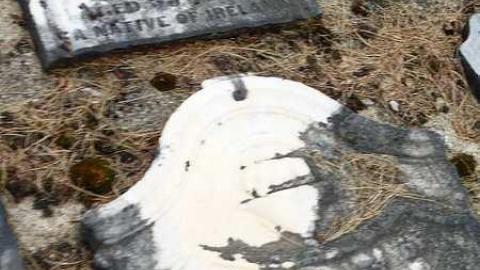 Photo from Summer Orchid