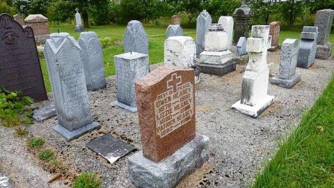 Summer Orchid - Orchidville-Pioneer-Cemetery13.jpg