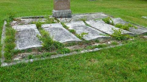 Summer Orchid - Orchidville-Pioneer-Cemetery8.jpg