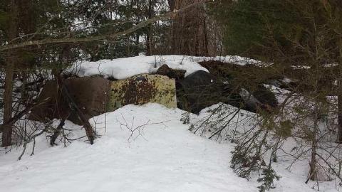 Golden Age Cars - Golden-Oldies--Four-50s-Cars45.jpg