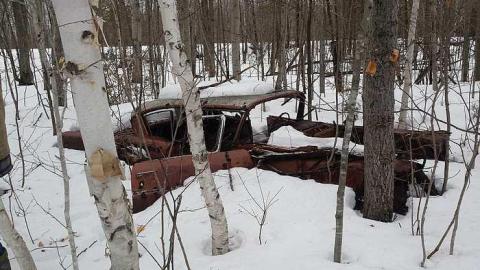 Golden Age Cars - Golden-Oldies--Four-50s-Cars41.jpg