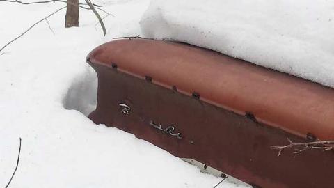 Golden Age Cars - Golden-Oldies--Four-50s-Cars29.jpg