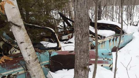 Golden Age Cars - Golden-Oldies--Four-50s-Cars46.jpg