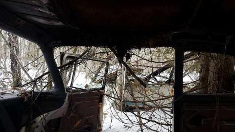 Golden Age Cars - Golden-Oldies--Four-50s-Cars31.jpg