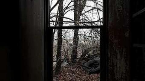 January 2017 - e-20170122_152106.jpg