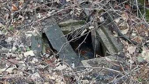 January 2017 - q-20170122_152408.jpg