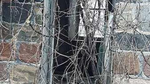 January 2017 - x-20170122_152645.jpg