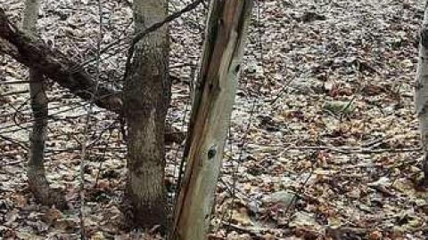 Jan. 2017 - Abandoned-Water-Wheel44.jpg