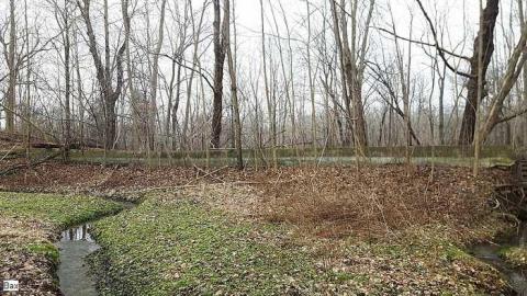 Jan. 2017 - Abandoned-Water-Wheel19.jpg