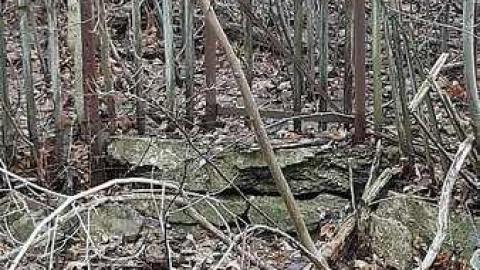 Jan. 2017 - Abandoned-Water-Wheel45.jpg