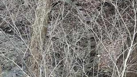 Jan. 2017 - Abandoned-Water-Wheel20.jpg