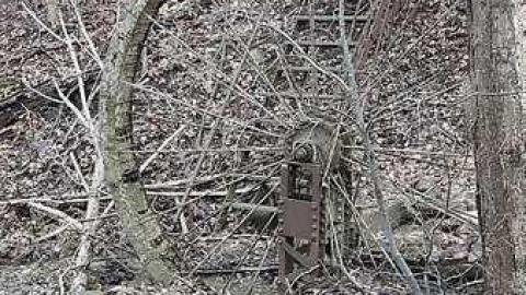 Jan. 2017 - Abandoned-Water-Wheel21.jpg