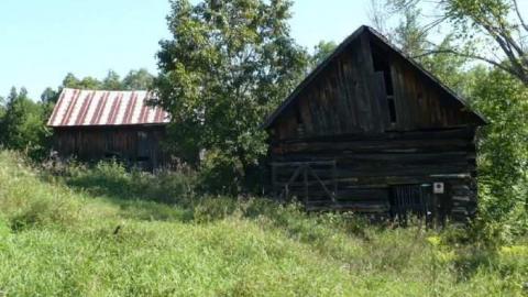 Haultain 2 - Haultain-(ghost-community)8.jpg