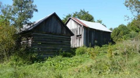 Haultain (ghost community) cover photo