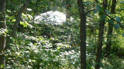 Haultain 2 - Haultain-(ghost-community)11.jpg