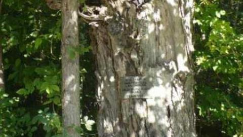 Haultain 2 - Haultain-(ghost-community)12.jpg