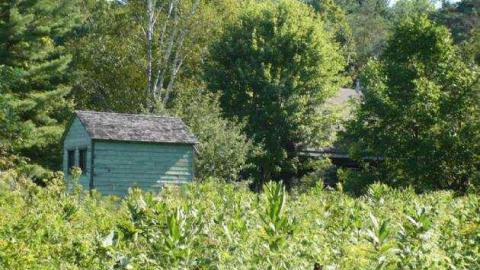 Haultain 2 - Haultain-(ghost-community)13.jpg