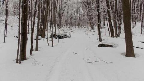 1950's beauty.. - 1950s-car-wreck17.jpg