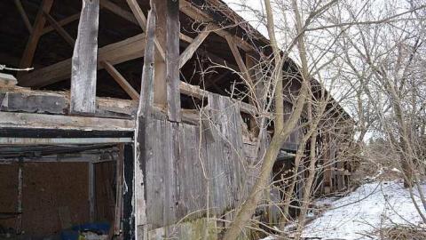 February 2016 - DSC_1409.jpg