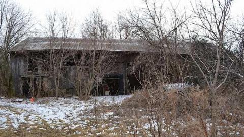 February 2016 - DSC_1427.jpg