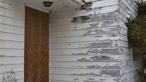 February 2016 - DSC_1356.jpg