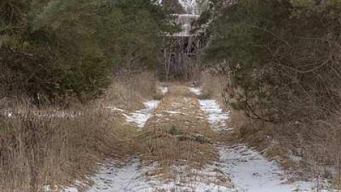 February 2016 - DSC_1403.jpg