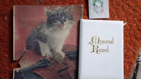 MoJu Doll '16 - House-with-the-Creepy-Doll29.jpg