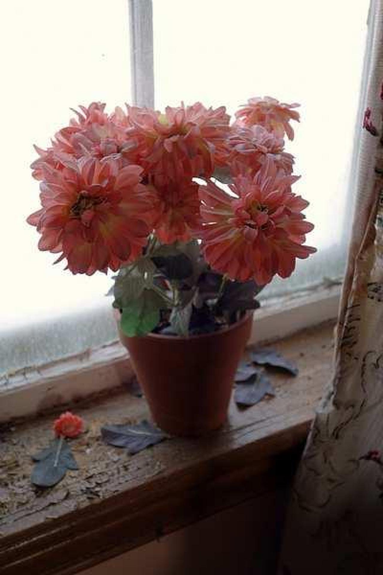 MoJu Doll '16 - House-with-the-Creepy-Doll32.jpg