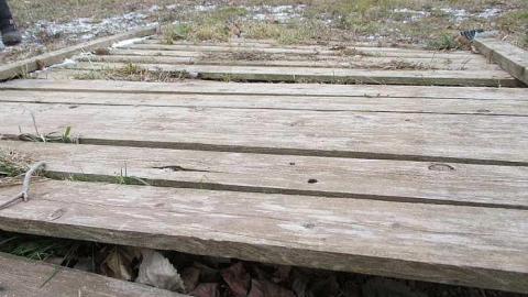 Shipwrecked Boat, & Tire Castle cover photo