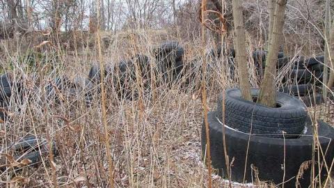 Shipwrecked Boat & Tire Castle - Shipwrecked-Boat,--Tire-Castle4.jpg