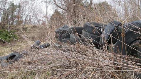 Shipwrecked Boat & Tire Castle - Shipwrecked-Boat,--Tire-Castle5.jpg