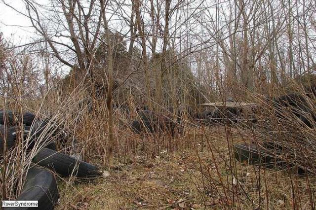 Shipwrecked Boat, & Tire Castle photo 5