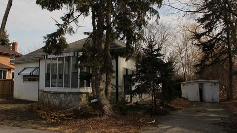 A collection of visits - 15/16 - Mr.-and-Mrs.-Sauga101.jpg