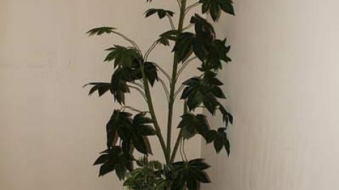 A collection of visits - 15/16 - Mr.-and-Mrs.-Sauga104.jpg