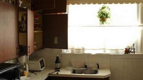 A collection of visits - 15/16 - Mr.-and-Mrs.-Sauga97.jpg