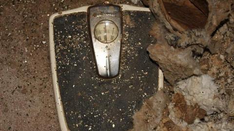 A collection of visits - 15/16 - Mr.-and-Mrs.-Sauga99.jpg