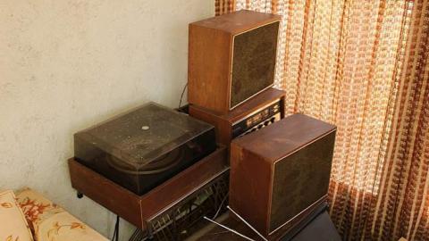 A collection of visits - 15/16 - Mr.-and-Mrs.-Sauga108.jpg